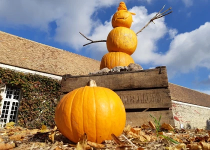 Fête de la citrouille