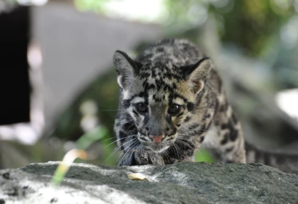 Le zoo de Mulhouse