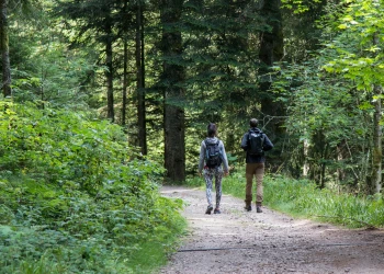 Wandern im Bas-Rhin - Bonjour Alsace