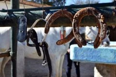 Atelier Équestre - app.name