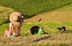 Spaziergang in den Weinbergen - Bonjour Alsace