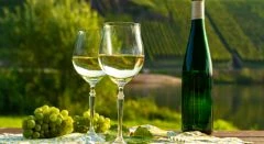 Dégustation de vins - app.name