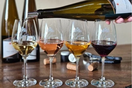 43 Geführte Tour durch die Weinberge im Elsass - Bonjour Alsace