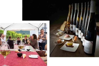 Gourmet-Aperitif beim unabhängigen Winzer - Weine aus Terroirs und alten Reben - Bonjour Alsace