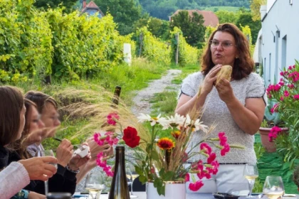 Gourmet-Aperitif beim unabhängigen Winzer - Weine aus Terroirs und alten Reben - Bonjour Alsace