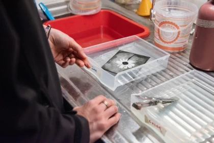 Séchage des tirages