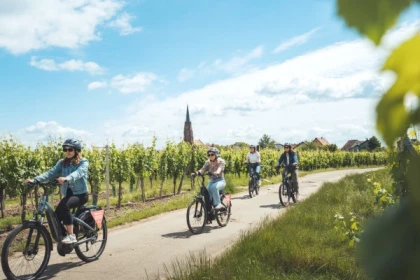 Balade à vélo sur la Route des Vins - app.name