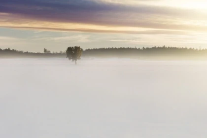 Spaziergang am Neujahrstag auf dem Champ du Feu - Bonjour Alsace