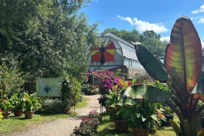 Ticket ohne Anstehen - Jardin des Papillons - Bonjour Alsace