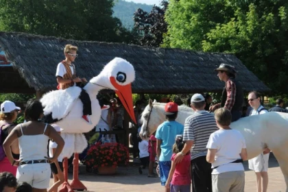 Billet d'entrée Cigoland - app.name