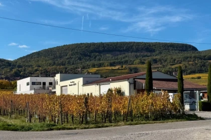 Weihnachtskeller – Elsässische Bio-Weine und festliche Köstlichkeiten - Bonjour Alsace