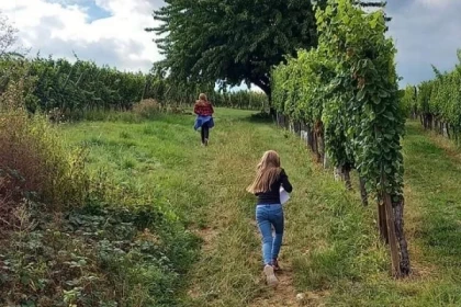 Chasse au Trésor dans le vignoble du Marckrain - app.name