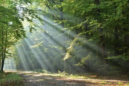 CHASSE AUX TRÉSORS DIGITALE À PIED OU À VÉLO - app.name