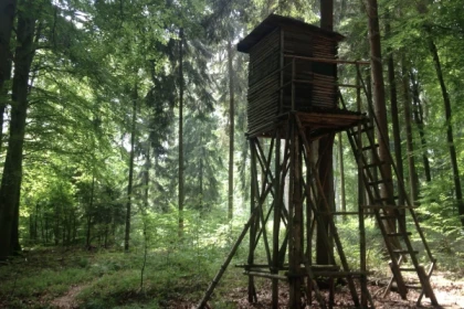 DIGITALE SCHNITZELJAGD ZU FUSS ODER MIT DEM FAHRRAD - Bonjour Alsace