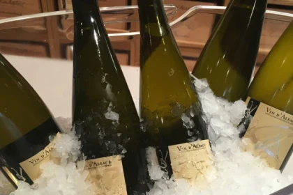 Von der Rebe ins Glas [Weinberg | Keller | Verkostung] - Bonjour Alsace