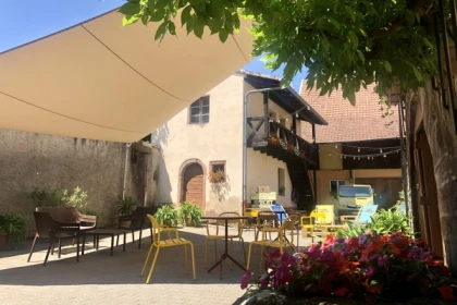 Entdeckungsreise durch die Weinberge: Von der Seele eines Weinguts - Bonjour Alsace