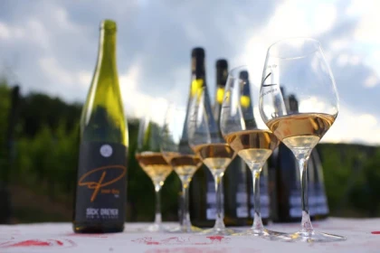 Dégustation accord mets et vins - app.name