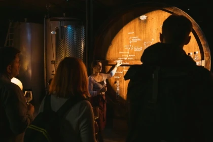 Verkostung von 5 Weinen und immersive Kellerbesichtigung - Bonjour Alsace