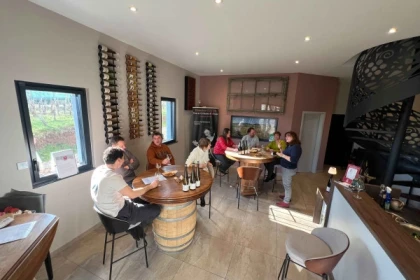 Verkostung: Die unverzichtbaren elsässischen Bio-Weine - Bonjour Alsace