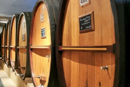 Visita de descubrimiento - app.name