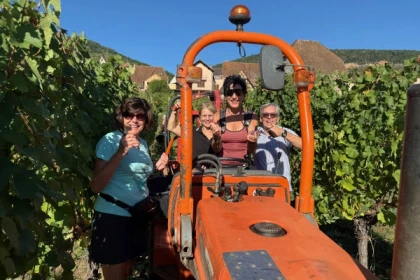 Weinleser für einen Tag - Bonjour Alsace