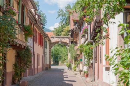 ENTDECKUNGSSCHNITZELJAGD KAYSERSBERG - Bonjour Alsace