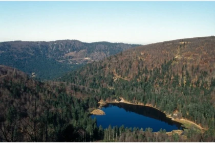 Journée raquettes à neige au Rothenbakopf - app.name