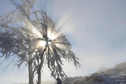 Journée raquettes privative au Rouge Gazon - app.name