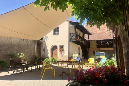 Die Sinne spielen verrückt:Entdecken Sie den Wein durch Ihre Geruchs- und Geschmackssinn - Bonjour Alsace