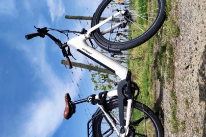 E-Bike-Verleih - Bonjour Alsace