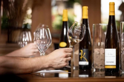 Parenthèse Vigneronne 'Biodynamik und ihre Auswirkung auf dem Kaefferkopf' - Verkostung - Bonjour Alsace