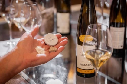 Parenthèse Vigneronne 'Biodynamik und ihre Auswirkung auf dem Kaefferkopf' - Verkostung - Bonjour Alsace