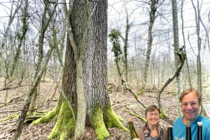 Rando-lyric - app.name