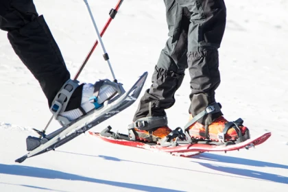 Raquettes à neige découverte du Feldberg - app.name