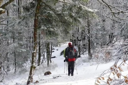 Raquettes à neige privative au Rouge Gazon - app.name