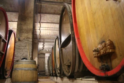 Rencontrez le vigneron dans son élément! - app.name