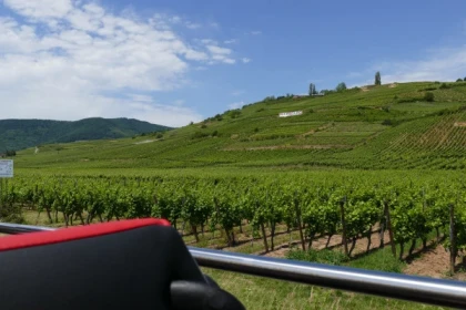 Ab Straßburg: "Best Of Alsace“ Tagestour - Bonjour Alsace