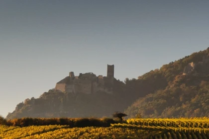 elsässische Weinberge und Verkostung - Bonjour Alsace