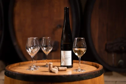 Vin bio: découverte et dégustation avec les vignerons! - app.name