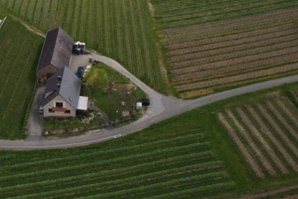 Vin bio: découverte et dégustation avec les vignerons! - app.name