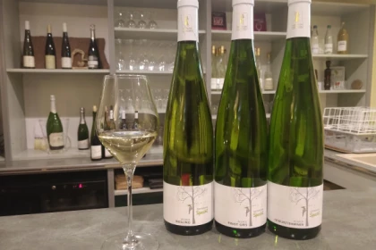 Traditioneller Besuch & Weinprobe - 5 Rebsorten - Bonjour Alsace