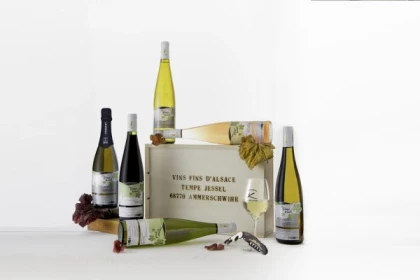 Visite de cave et dégustation de vin bio à Ammerschwihr - app.name