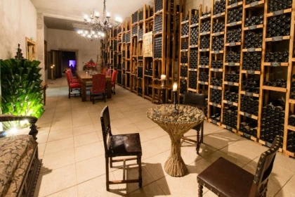 Visite du domaine et dégustation commentée - app.name