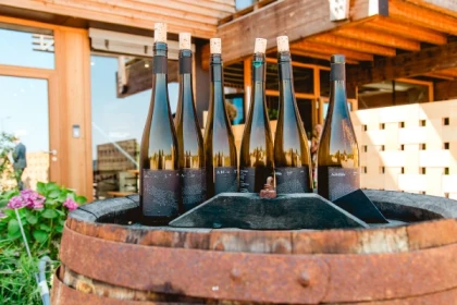 Visite du domaine et dégustation de nos vins - app.name