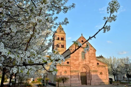Besichtigung 'Sigolsheim und der berühmte Wein von Sigold' - Bonjour Alsace