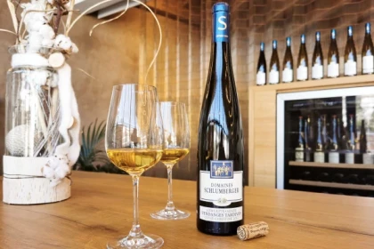 Visite Prestige - app.name