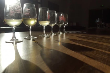 Visite Prestige - app.name