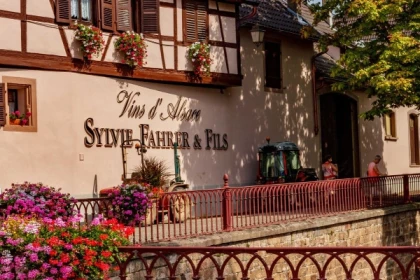 43 Geführte Tour durch die Weinberge im Elsass - Bonjour Alsace