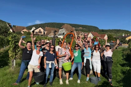 Weinleser für einen Tag - Bonjour Alsace