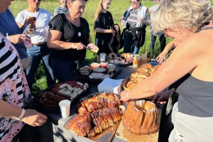 Weinleser für einen Tag - Bonjour Alsace